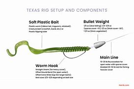 Image result for How to Tie a Texas Rig