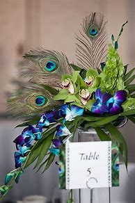 Image result for Peacock Theme