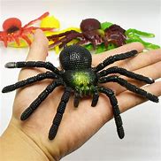 Image result for Rubber Spider Toy