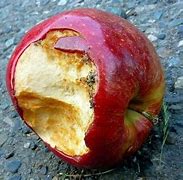 Image result for Rotten Apple Phone