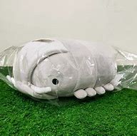 Image result for Giant Isopod Plush