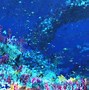 Image result for Clear Underwater Ocean