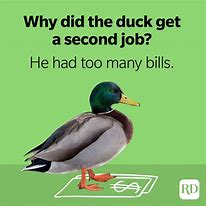 Image result for Wholesome Duck Memes