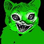 Image result for Shock Crying Cat Meme