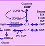 Image result for Glycolysis Structure