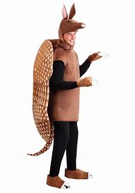 Image result for Holiday Armadillo Costume