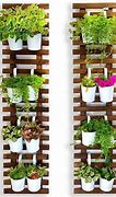 Image result for Wall Mounted Flower Pots