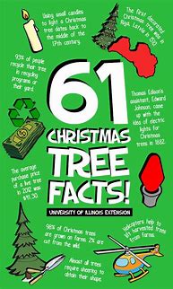 Image result for Humorous Christmas Facts