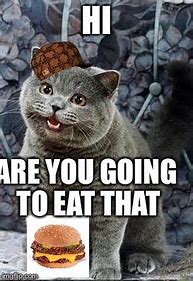 Image result for I Can Has Cheezburger Meme