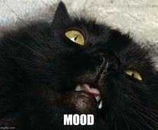 Image result for Mood Cat Meme Funny
