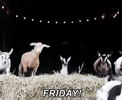 Image result for Happy Friday Goat