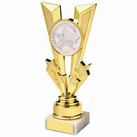 Image result for 2nd Place Trophy