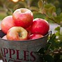 Image result for 10 Apples