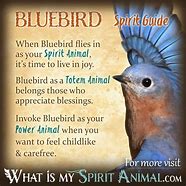 Image result for The Holy Spirit Blue Bird