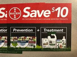 Image result for Bayer Advantage II for Dogs