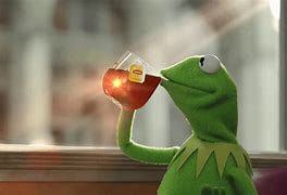 Image result for Kermit Meme Face 1080X1080