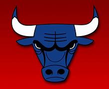 Image result for Chicago Bulls Outline