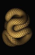 Image result for Military Skull and a Snake