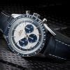 Image result for Omega Watch Gears