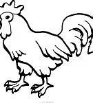 Image result for Le Coq Dessin