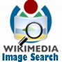 Image result for Wikipedia API