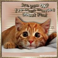 Image result for Cute Animal Quotes About Friends