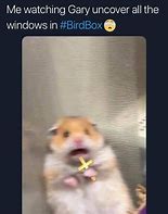 Image result for Hamster Holding a Cross Meme