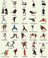 Image result for Kung Fu Moves Set