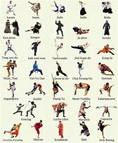 Image result for Different Kung Fu Styles