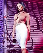 Image result for Nikki Bella www