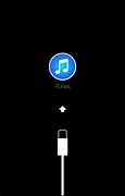 Image result for iTunes Recovery Mode