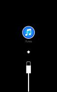 Image result for iTunes Unlock iPhone