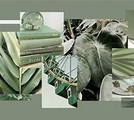 Image result for Sage Green Minimalist Wallpaper