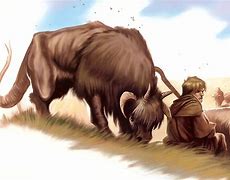 Image result for Star Wars Riding Animals