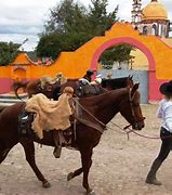 Image result for Mexico Guanajuato Horse