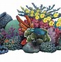 Image result for Sea Fish Clip Art Free