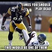 Image result for Patriots Crush Steelers Memes