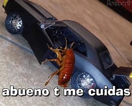 Image result for Cucaracha vs Men Memes