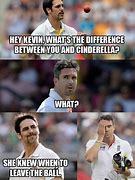 Image result for Funny Cricket Bug Meme