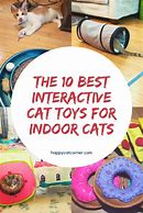 Image result for Petco Toys for Indoor Cats