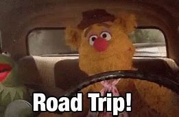 Image result for Muppets Road Trip GIF