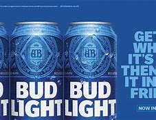 Image result for Bud Light Ads