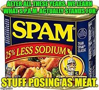 Image result for Spam Canned Meat Meme