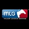 Image result for MLG Wallpaper 1920X1080