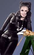 Image result for Batman TV Show Catwoman