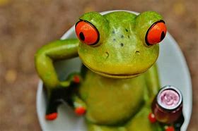 Image result for Baddie Frog Chick
