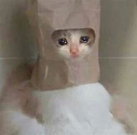 Image result for Sad Cat Love Meme