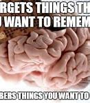 Image result for Missing Brain Meme