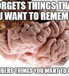 Image result for What a Brain Meme