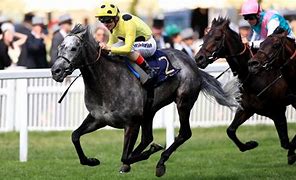 Image result for Newmarket Horse Racing